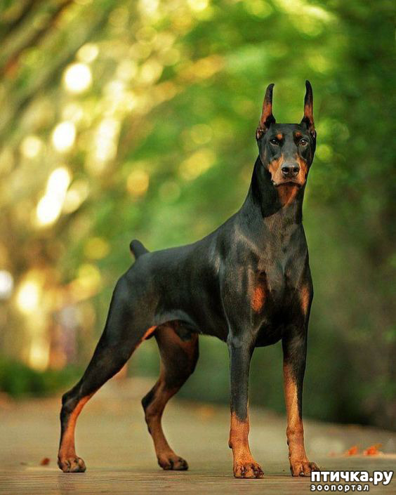 ���� 10: ������ ������