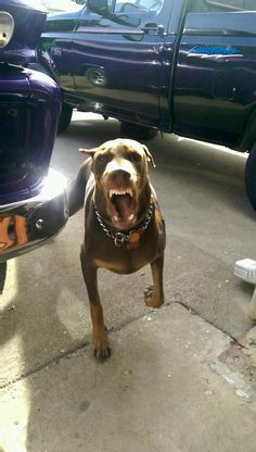 ���� 16: ������ ������