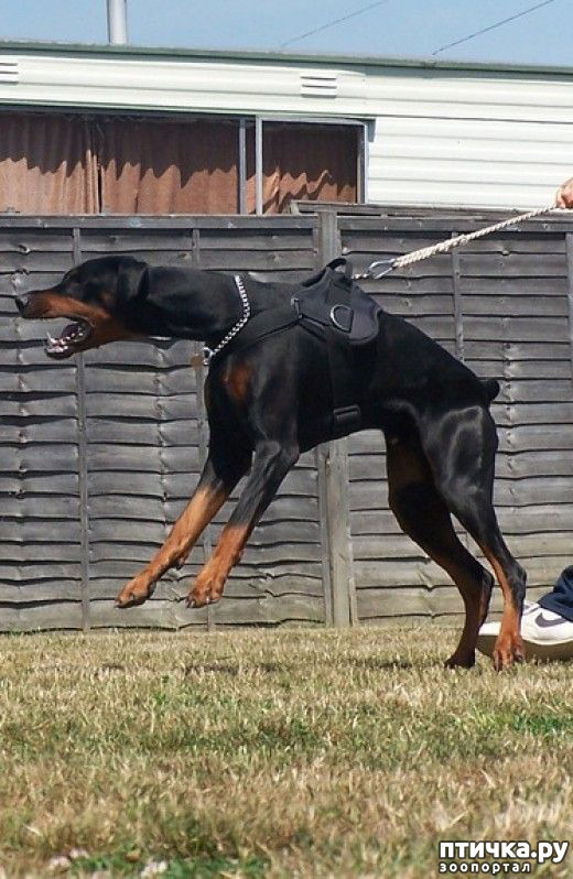 ���� 18: ������ ������