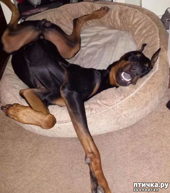 ���� 20: ������ ������