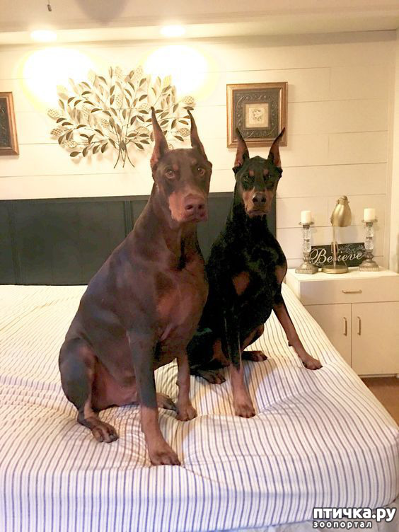 ���� 22: ������ ������