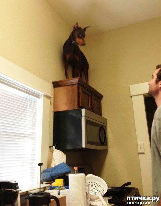 ���� 24: ������ ������