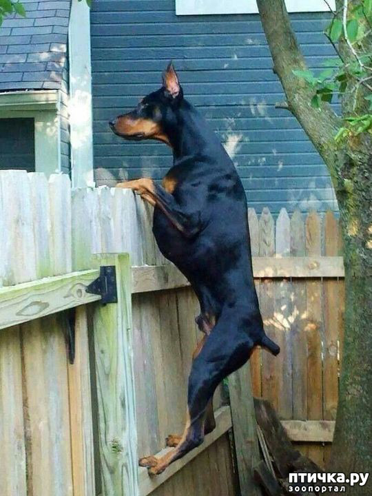 ���� 14: ������ ������