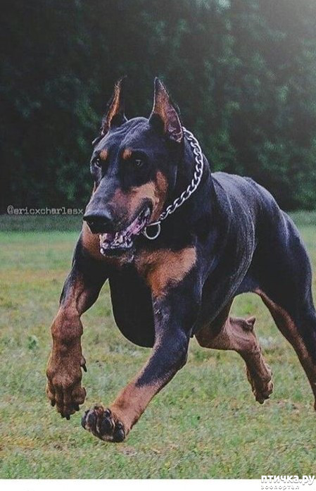 ���� 15: ������ ������