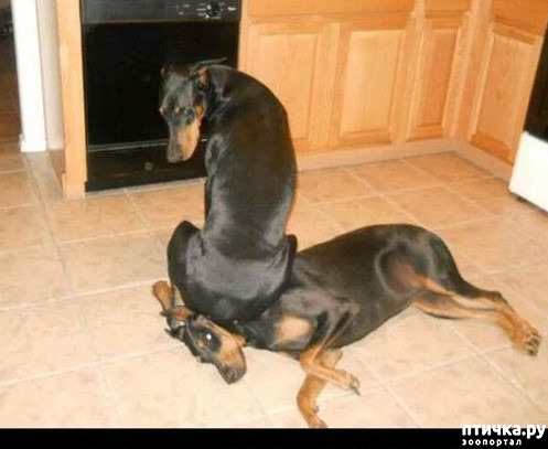 ���� 21: ������ ������