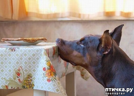 ���� 23: ������ ������