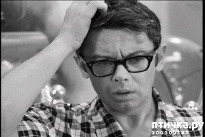 ����: ��� �� ��� �������? 5