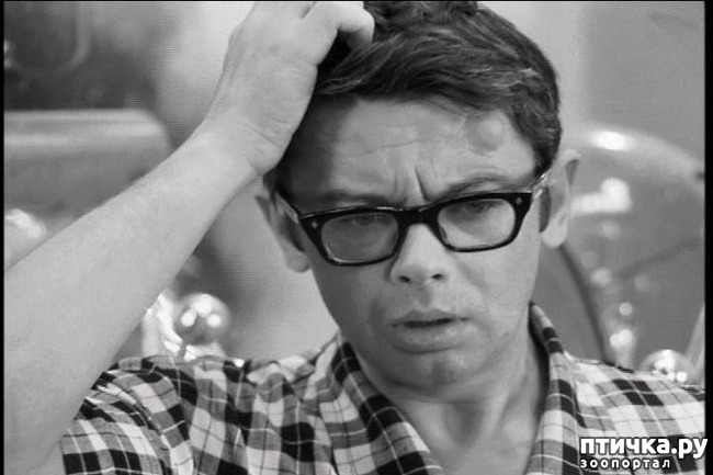 ���� 1: ��� �� ��� �������? 5