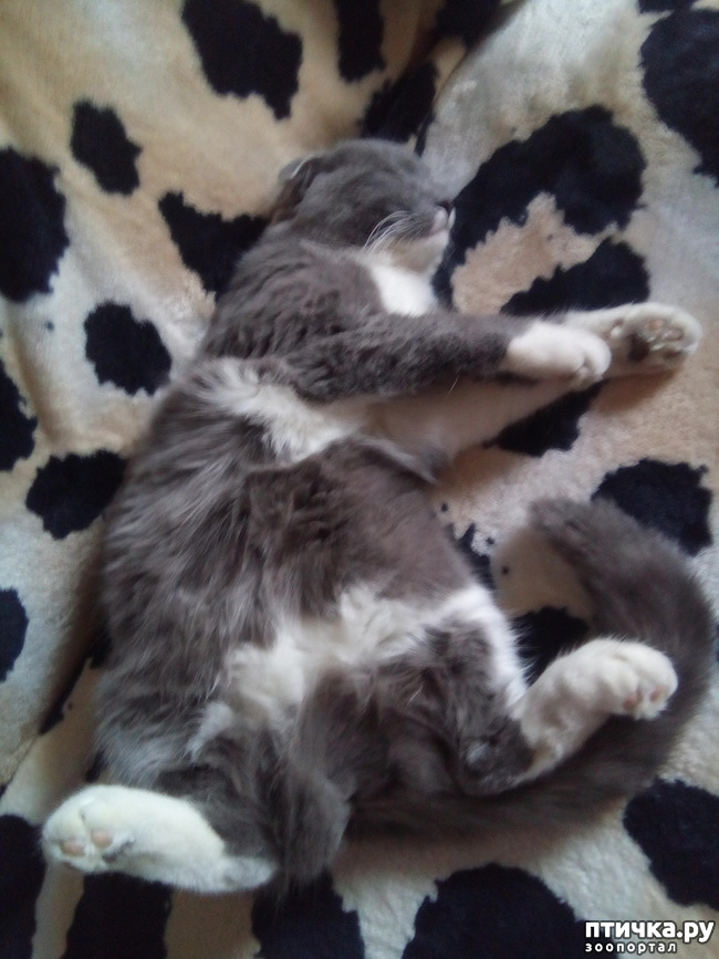 ���� 1: ����