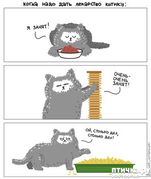 ����: ������� ��������