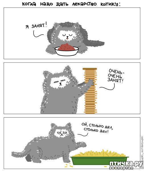 ���� 1: ������� ��������