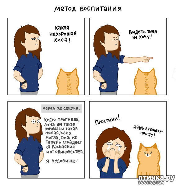 ���� 3: ������� ��������