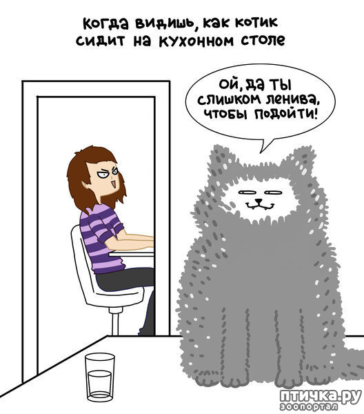 ���� 4: ������� ��������