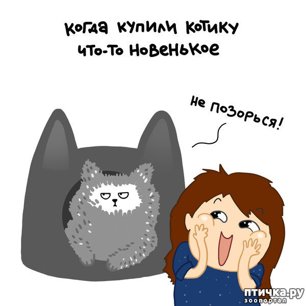 ���� 5: ������� ��������