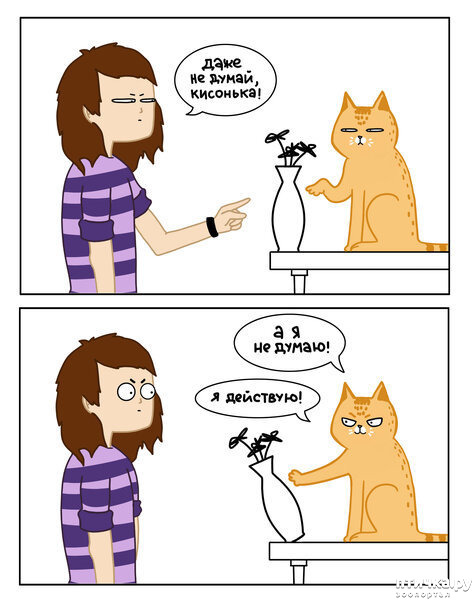 ���� 6: ������� ��������