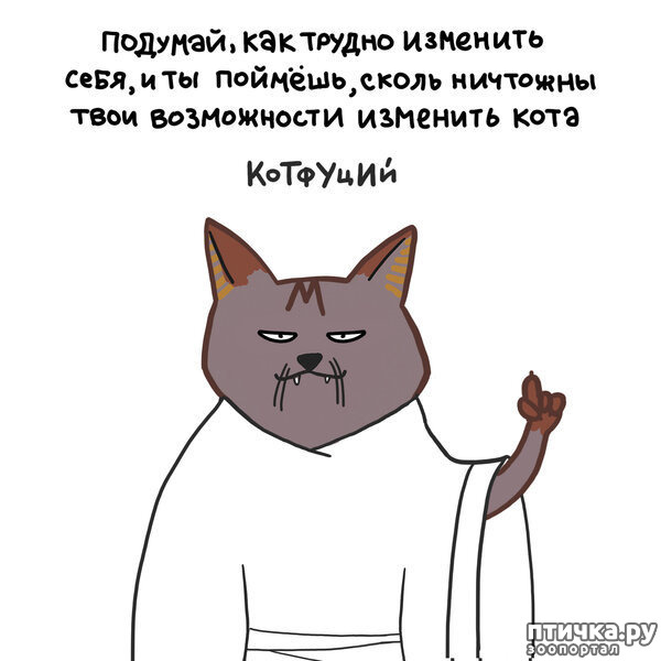 ���� 8: ������� ��������