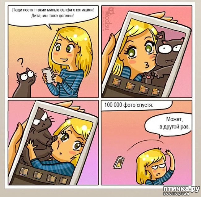 ���� 1: ������� ��� ����� ����.