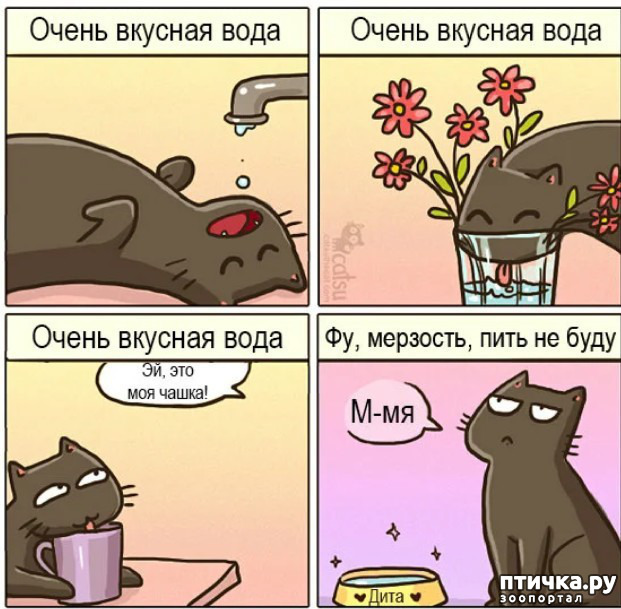 ���� 2: ������� ��� ����� ����.