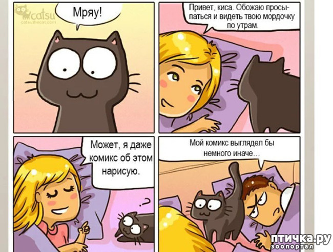 ���� 3: ������� ��� ����� ����.