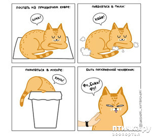 ����: ��� ������� ������� ��������!