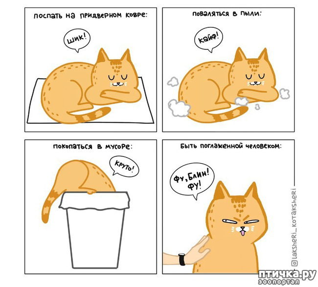 ���� 1: ��� ������� ������� ��������!