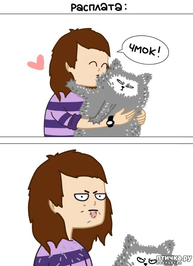 ���� 3: ��� ������� ������� ��������!