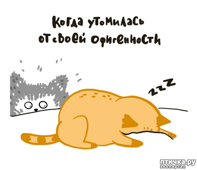 ���� 4: ��� ������� ������� ��������!