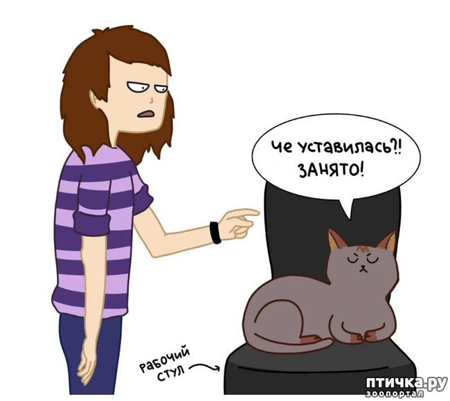 ���� 5: ��� ������� ������� ��������!