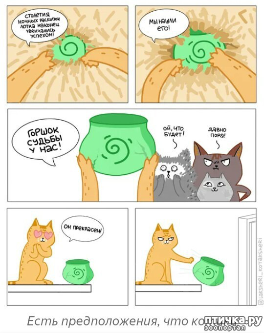 ���� 6: ��� ������� ������� ��������!