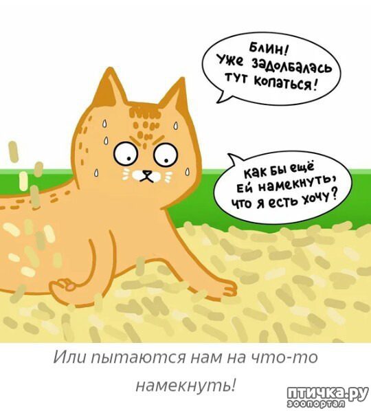 ���� 8: ��� ������� ������� ��������!