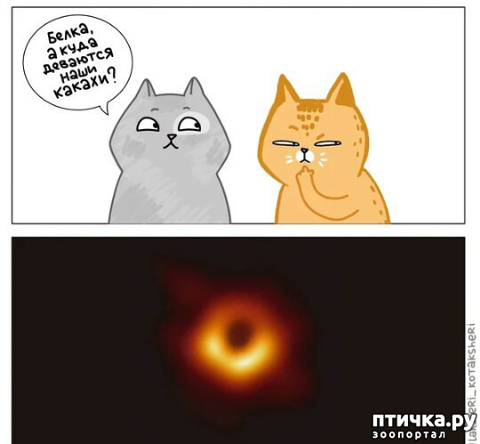 ���� 9: ��� ������� ������� ��������!