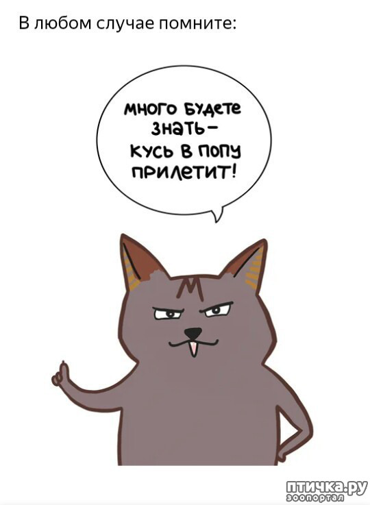 ���� 10: ��� ������� ������� ��������!