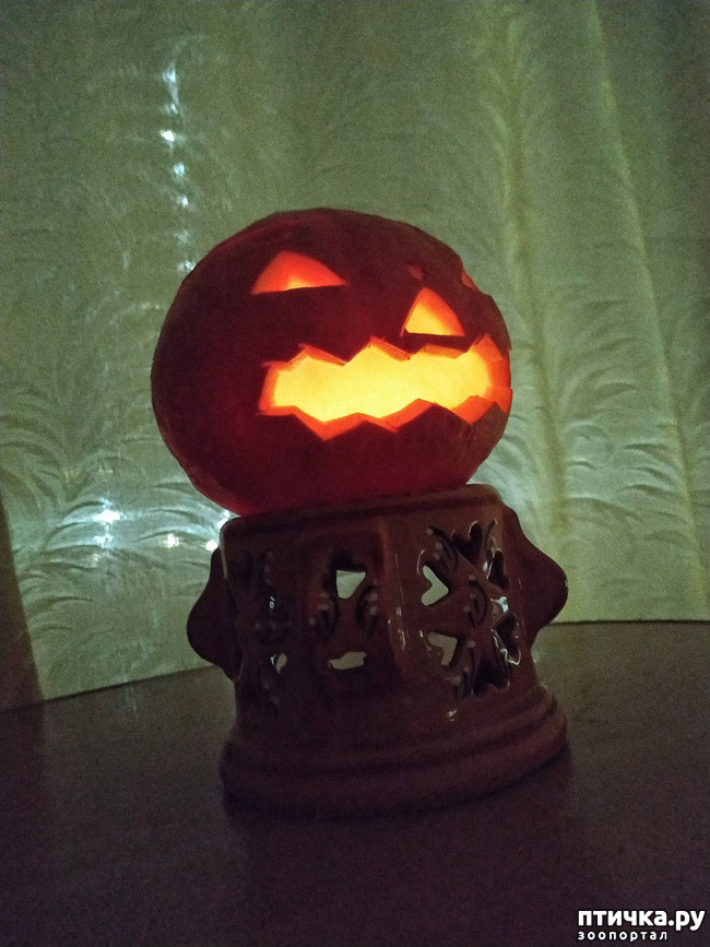 ���� 1: ��������