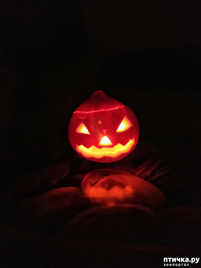 ���� 2: ��������