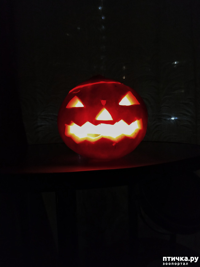 ���� 6: ��������