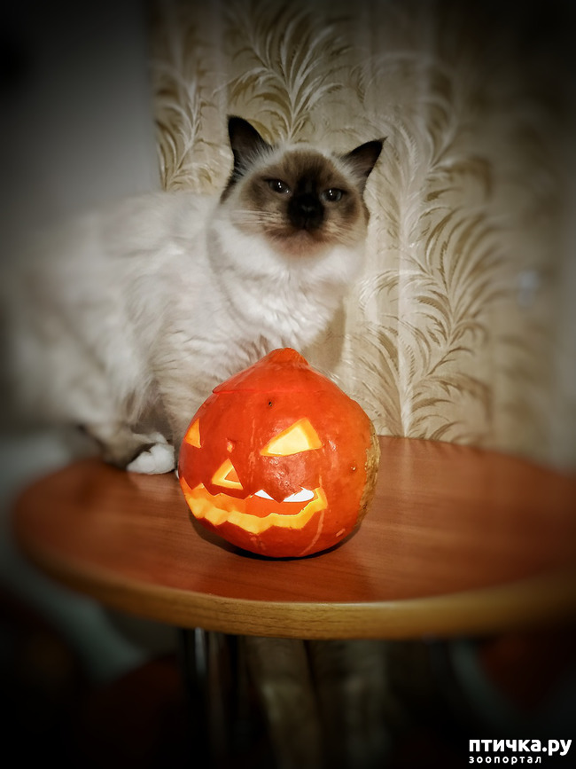 ���� 4: ��������