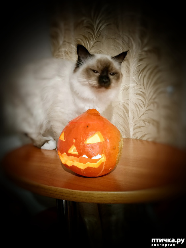 ���� 5: ��������