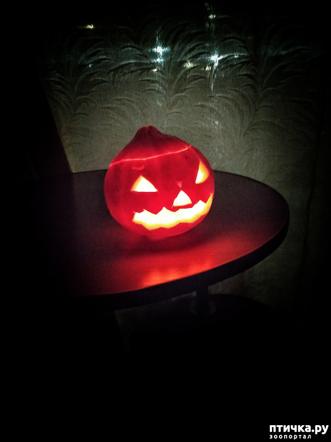 ���� 3: ��������