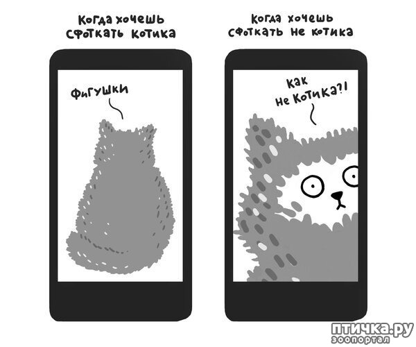 ���� 1: ������� ��������