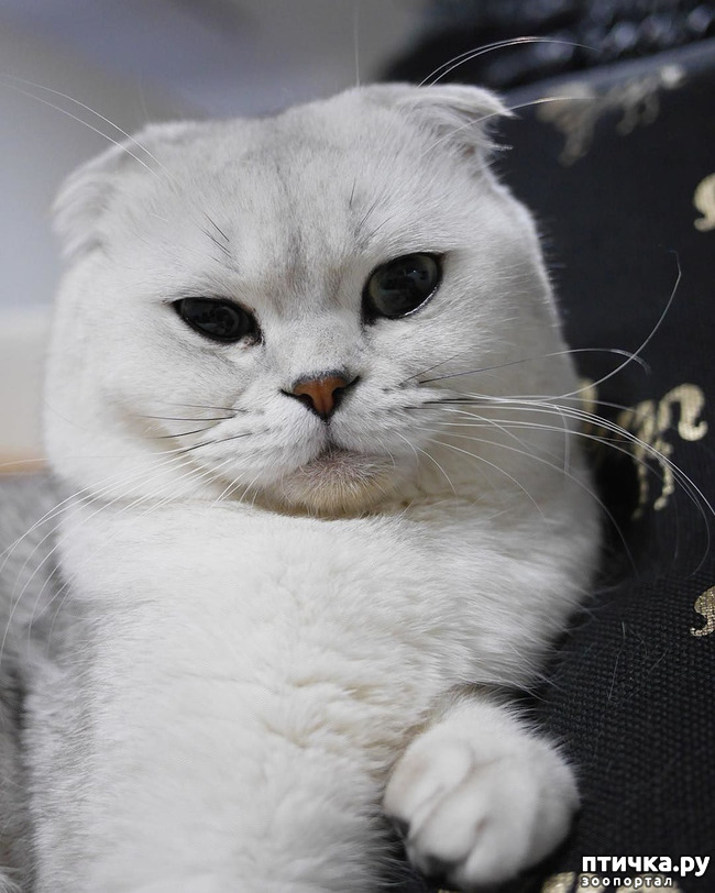 ���� 1: ������