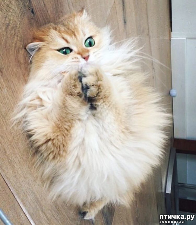 ���� 2: ������