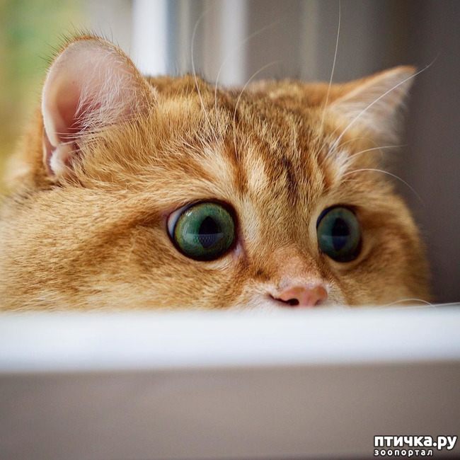 ���� 3: ������