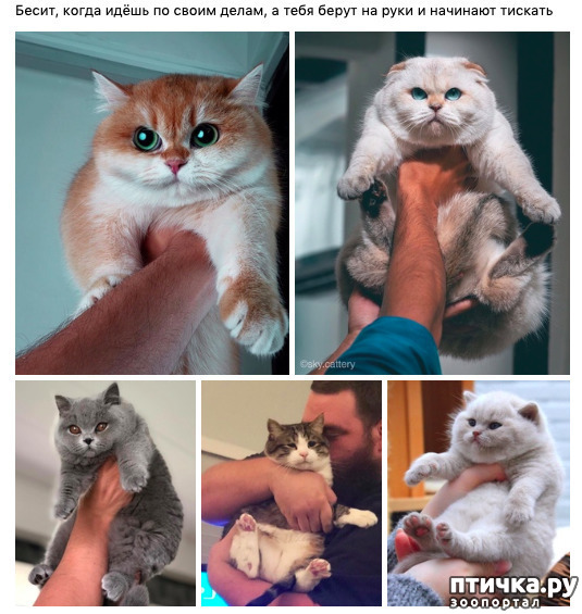 ���� 4: ������