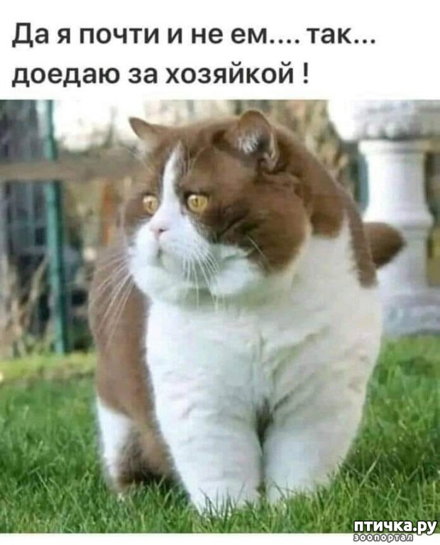 ���� 5: ������