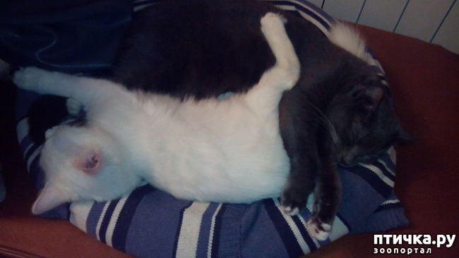 ���� 1: ���� �����, ������ �����