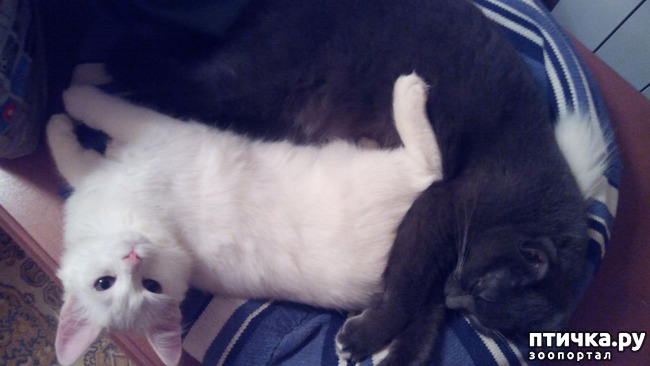 ���� 2: ���� �����, ������ �����