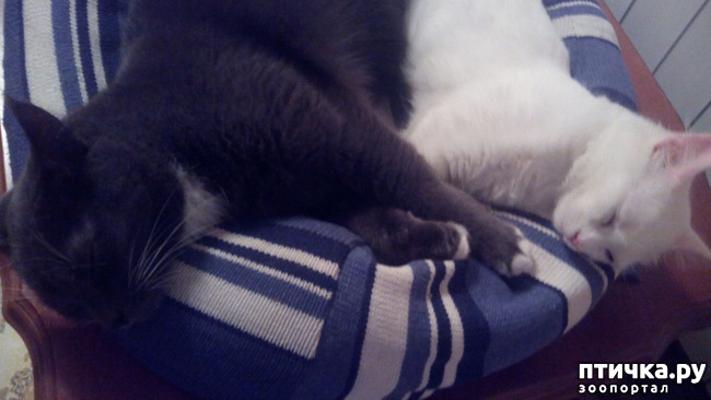 ���� 3: ���� �����, ������ �����