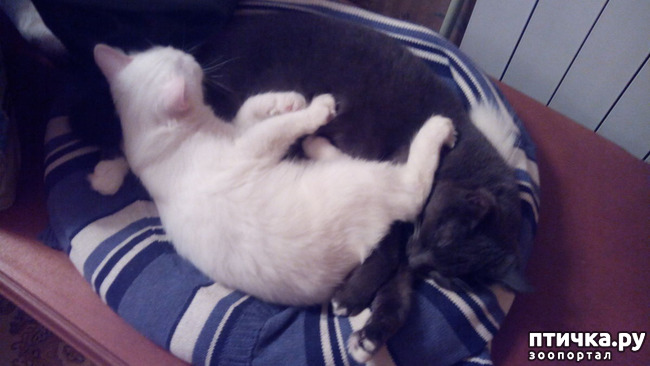 ���� 4: ���� �����, ������ �����