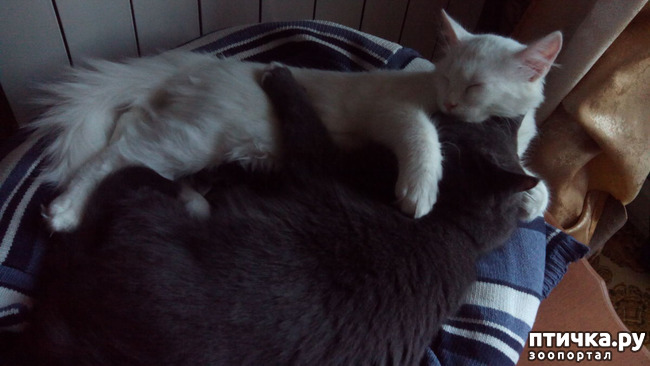 ���� 5: ���� �����, ������ �����