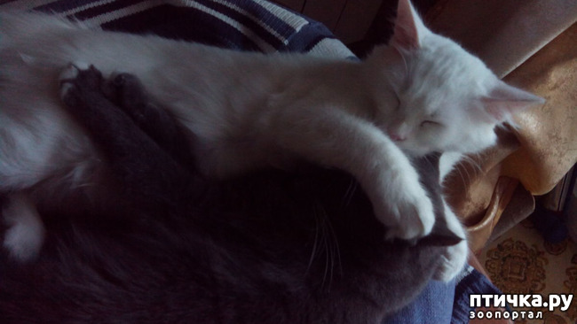 ���� 6: ���� �����, ������ �����